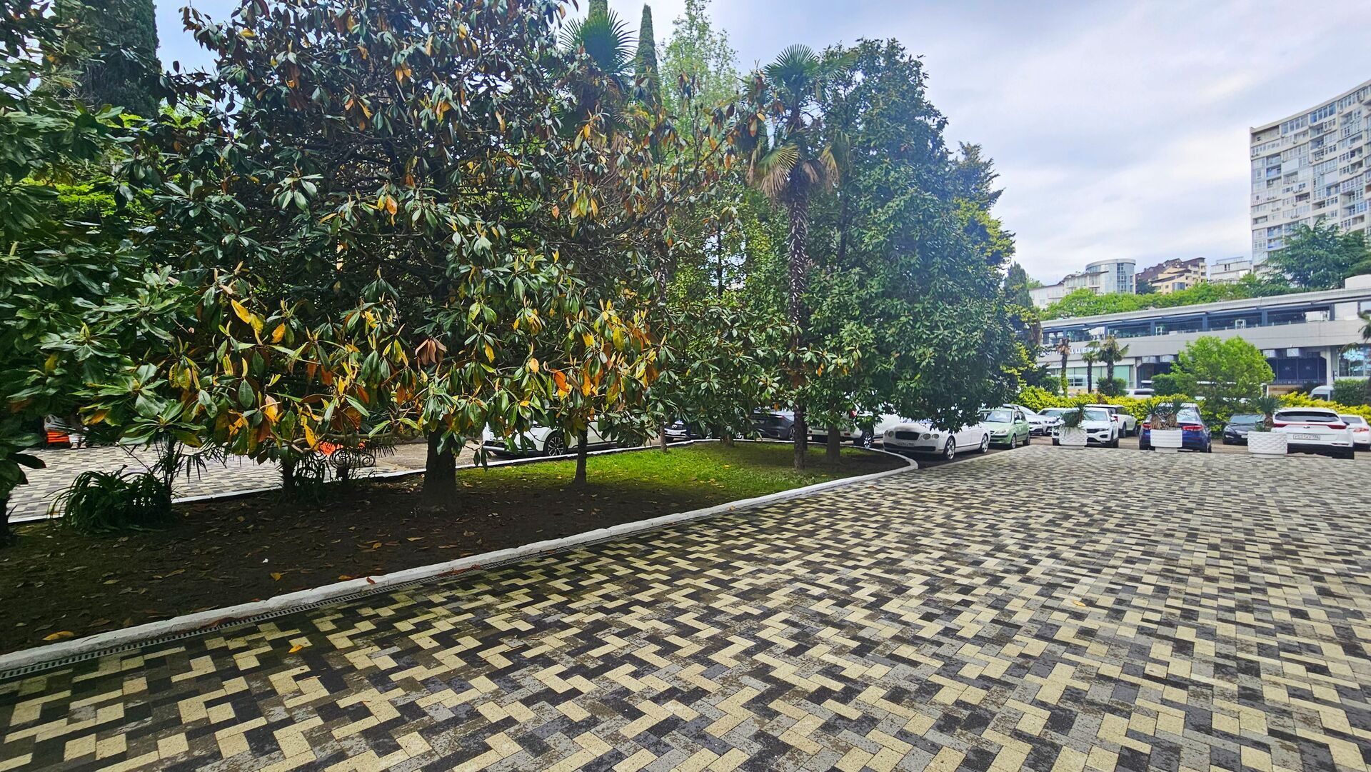 photo_8