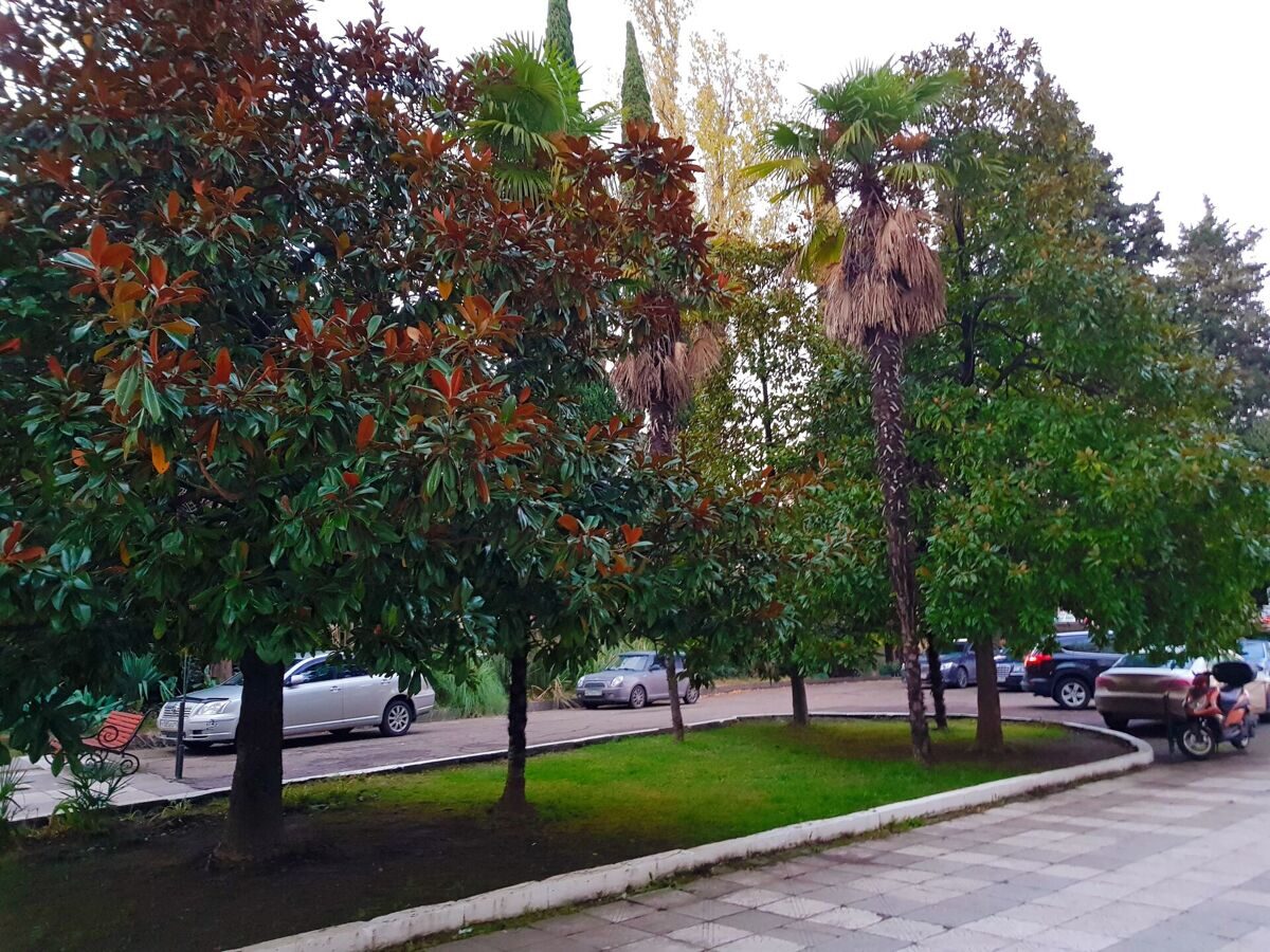 photo_9_872913